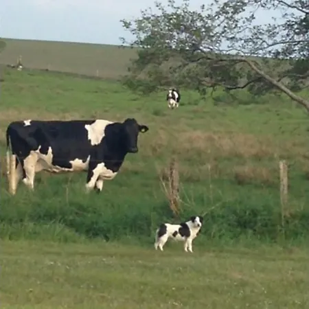 Thistledown - - Crossmolina - County Mayo - Sleeps 8 - Sister To Inglewood