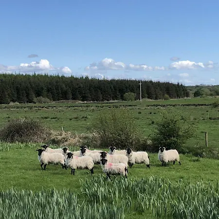 Thistledown - - Crossmolina - County Mayo - Sleeps 8 - Sister To Inglewood * بالينا