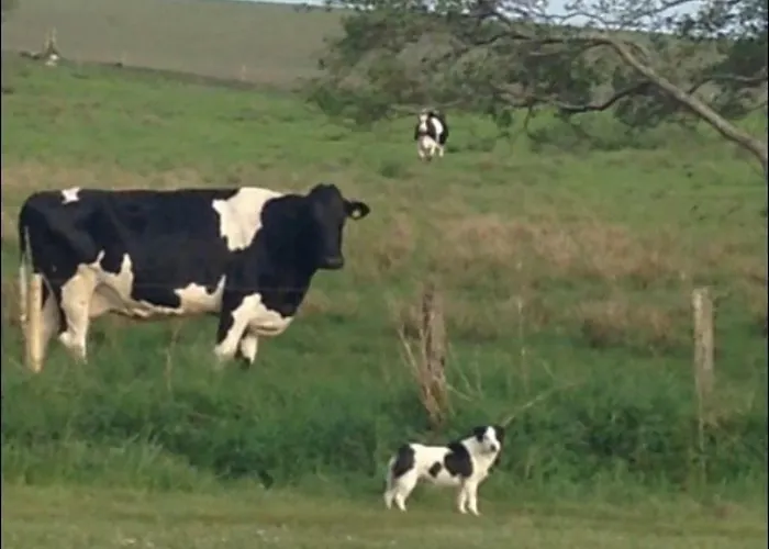 Thistledown - - Crossmolina - County Mayo - Sleeps 8 - Sister To Inglewood