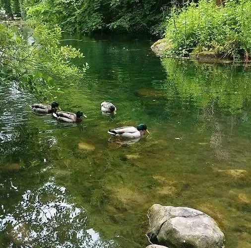 Thistledown - - Crossmolina - County Mayo - Sleeps 8 - Sister To Inglewood * Ballina (Mayo)