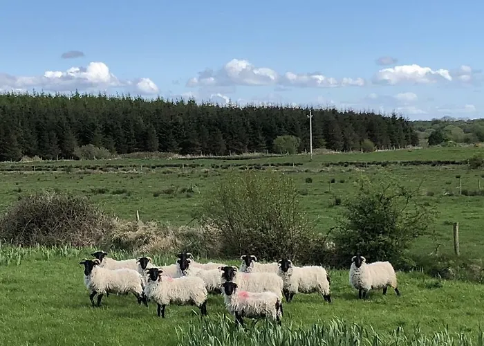 Thistledown - - Crossmolina - County Mayo - Sleeps 8 - Sister To Inglewood * Ballina (Mayo)